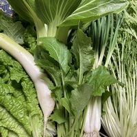 リーフレタス,水菜,わけぎ,ミニ大根,青梗菜の画像
