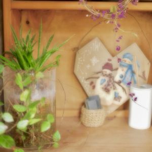 サンスベリア,観葉植物,手作り雑貨,トールペイント,今日のお花の画像