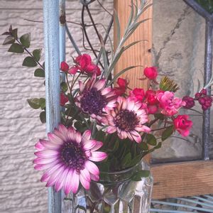 オステオスぺルマム,シンフォリカルボス,マイクロ ミニ薔薇,ガラスの花瓶,庭で咲いた花の画像