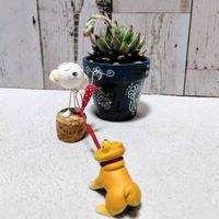 コーンポピー,多肉植物,大好き,かわいい♡,多肉女子の画像