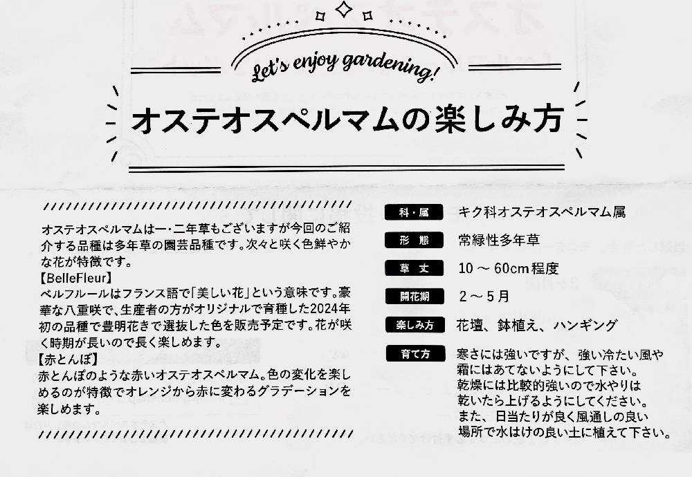 オステオニルのリーフレット