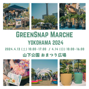 イベント,ワークショップ ,マルシェ,山下公園,植物イベントの画像