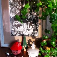 亀甲竜,ニットの日,ムーミンの日,ゼロ ムーミンの画像