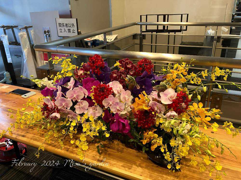 世界らん展2024｜🍀GreenSnap（グリーンスナップ）