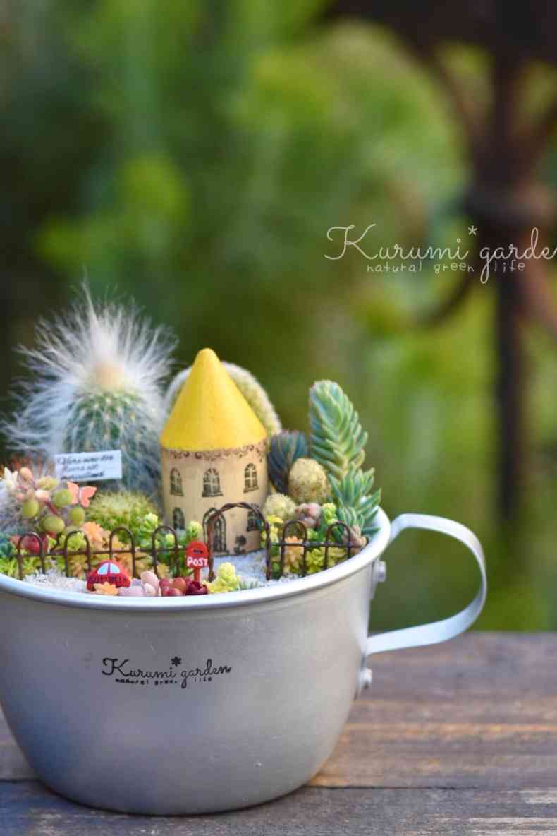 サボテンの投稿画像 by くるみガーデン くるみ ⃰ さん｜サボテンと