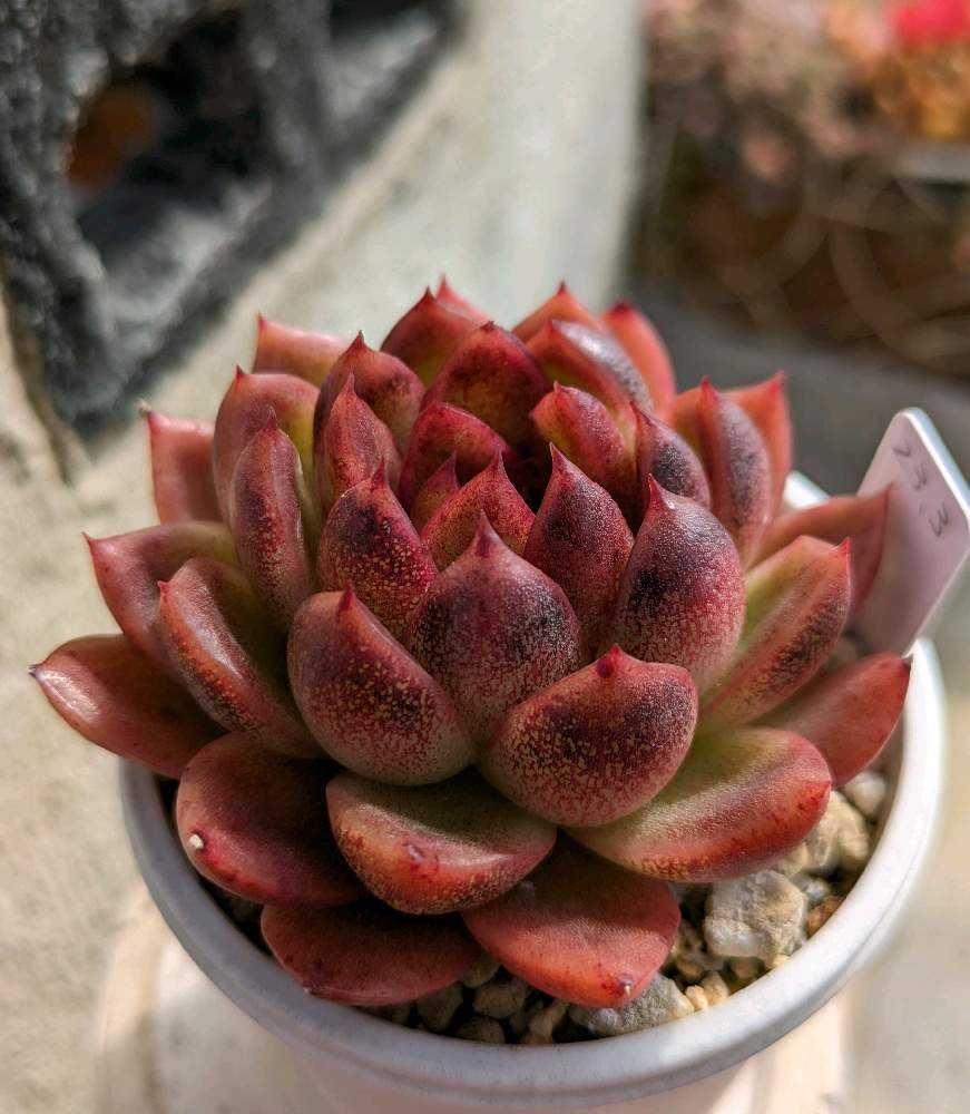 1708187014979_thum_263461_p_20