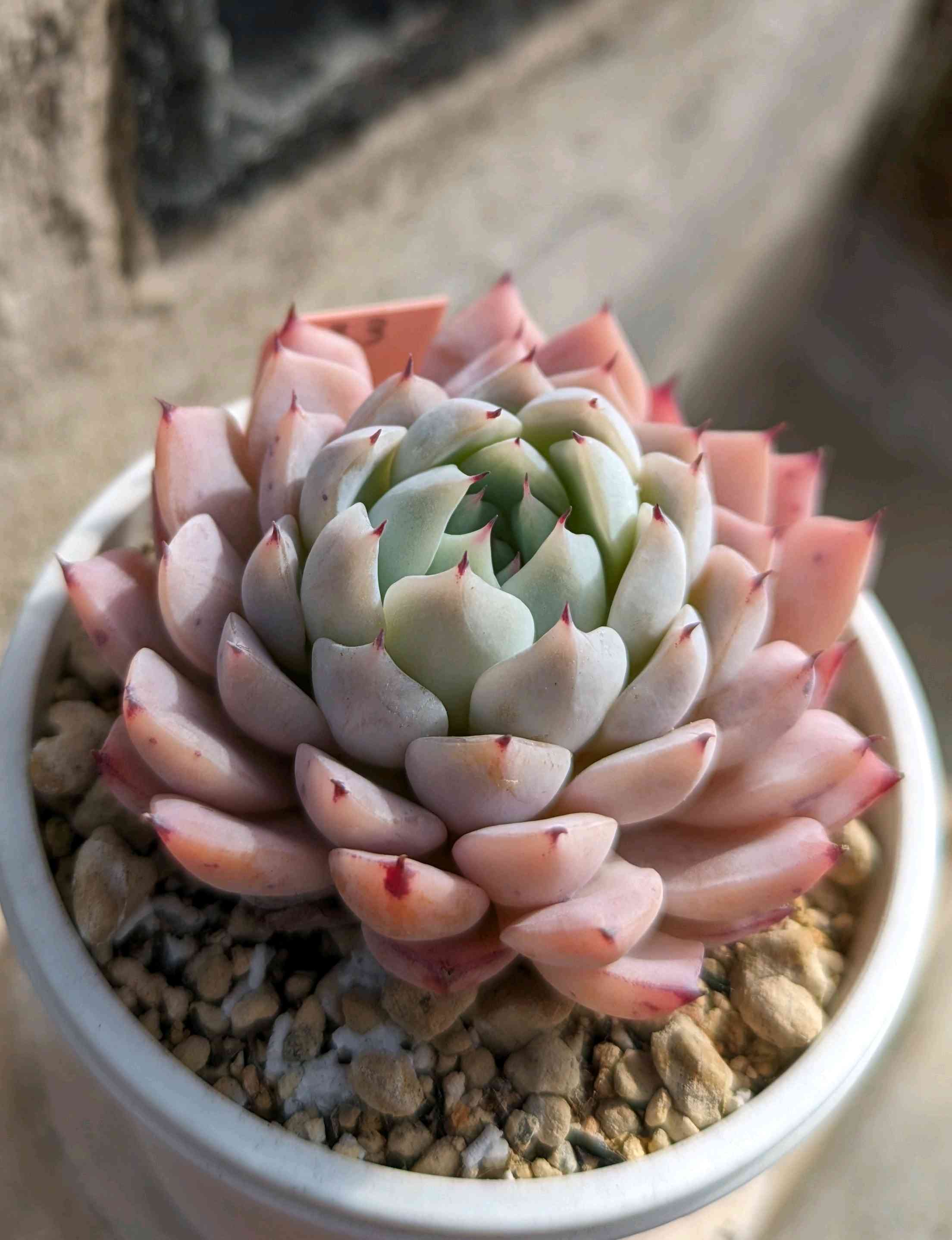 1708192587706_89519_p_20240218