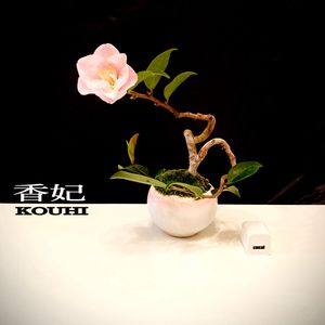 苔(コケ),椿(ツバキ),盆栽,侘び寂び ,小品盆栽の画像