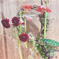 アマリリス,ガーベラ,赤い花,フラワーアレンジメント,リースの画像