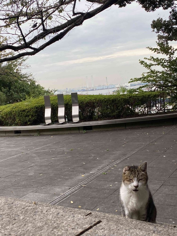 ピノ太郎さんの港の見える丘公園への投稿