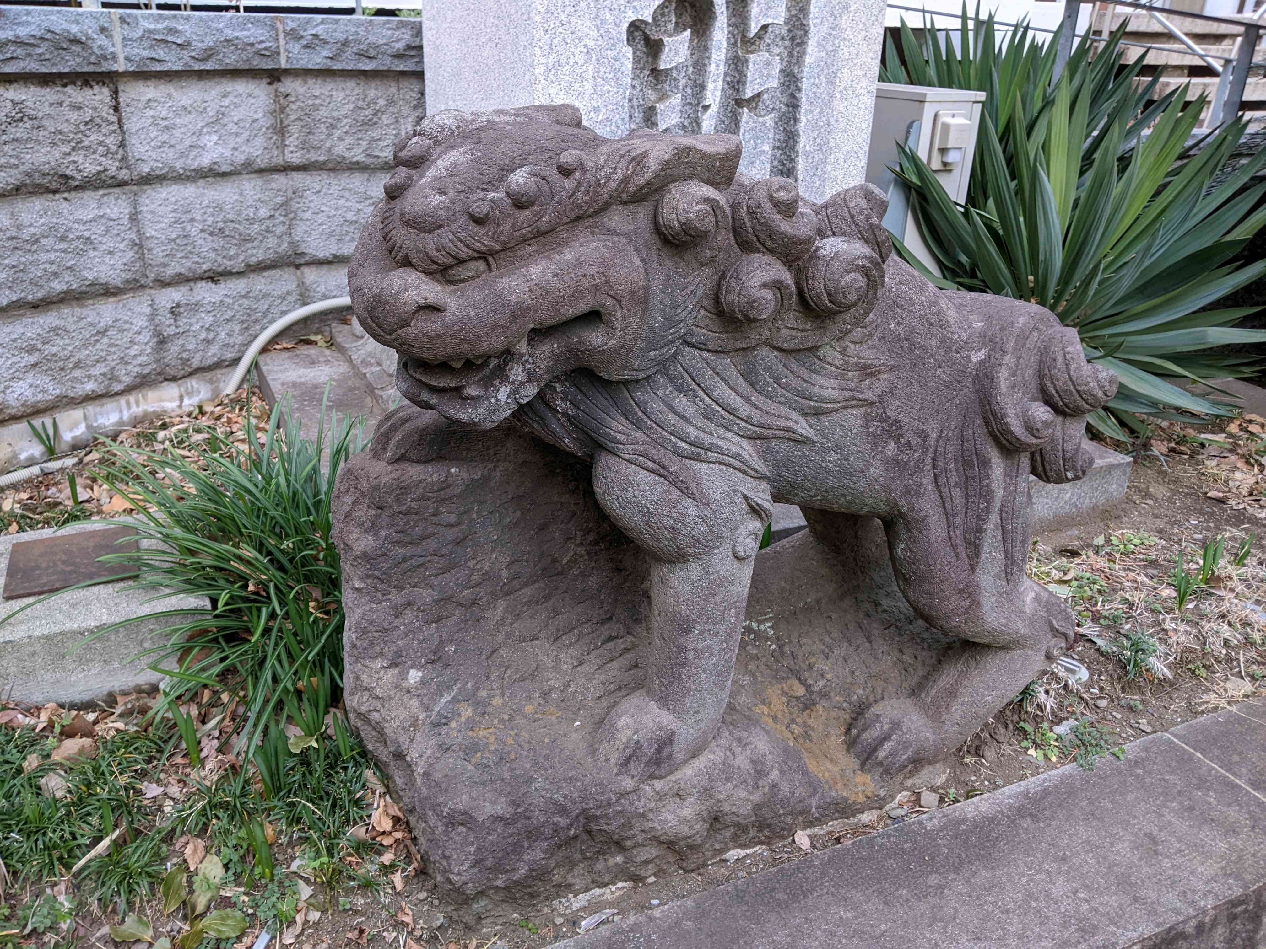 1709166934349_673427_p_2024022