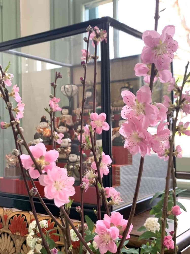 シゲルさんの山手イタリア山庭園への投稿