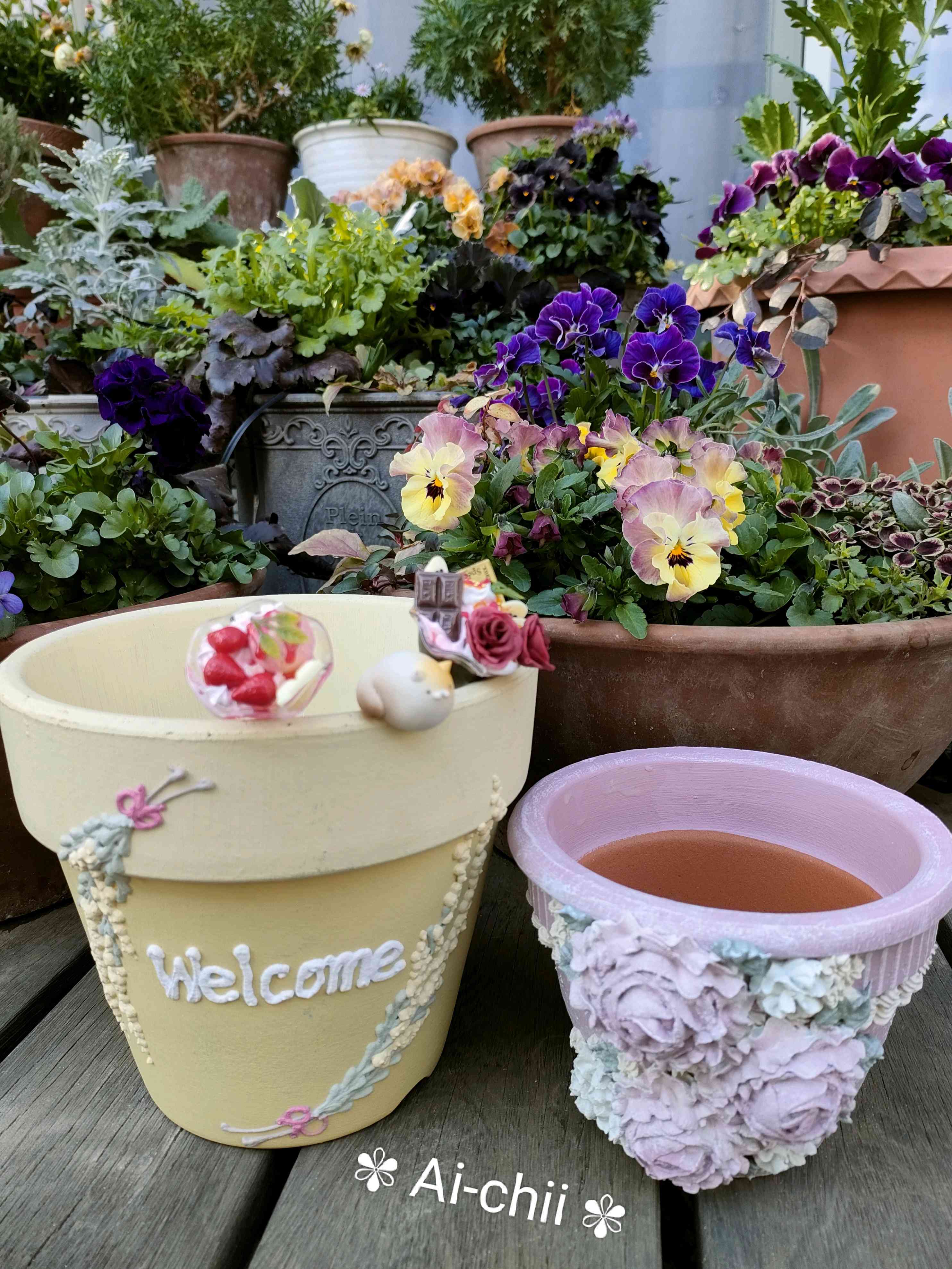 寄せ植えの投稿画像 by 愛ちいママさん｜パンジーとビオラと