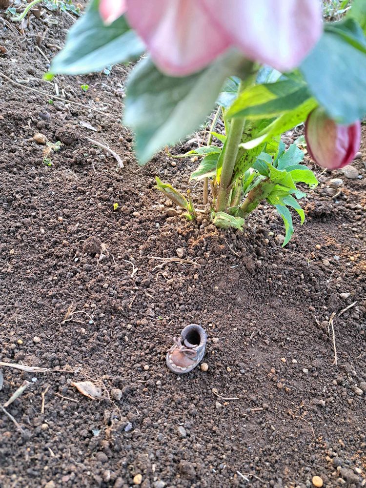 エリィさんの港の見える丘公園への投稿