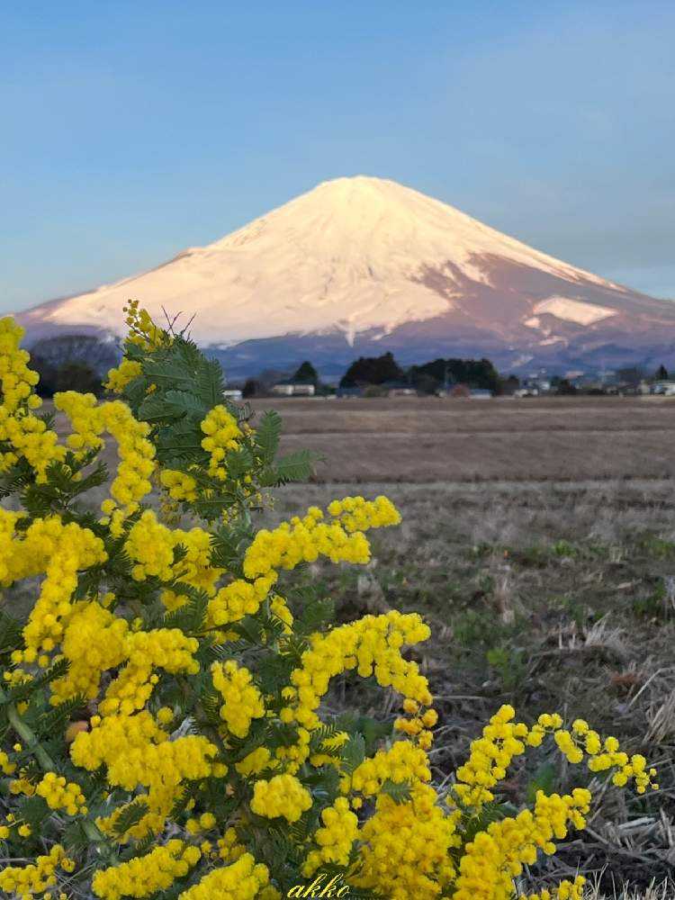 3月の富士山と麓の景色｜🍀GreenSnap（グリーンスナップ）