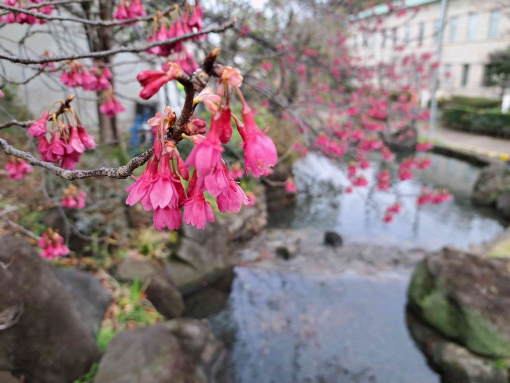 エリィさんの港の見える丘公園への投稿