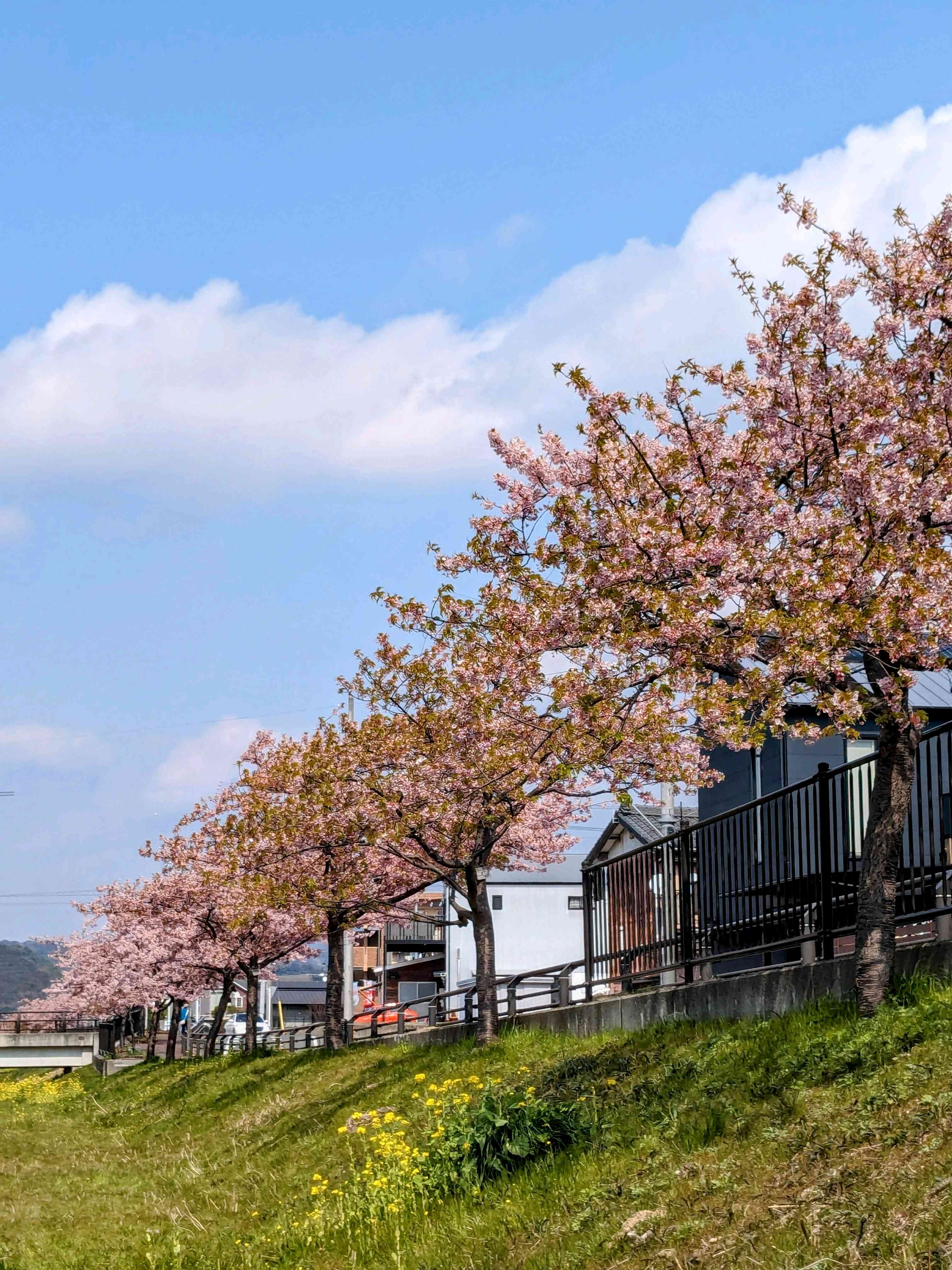 1710064471288_345506_p_2024031