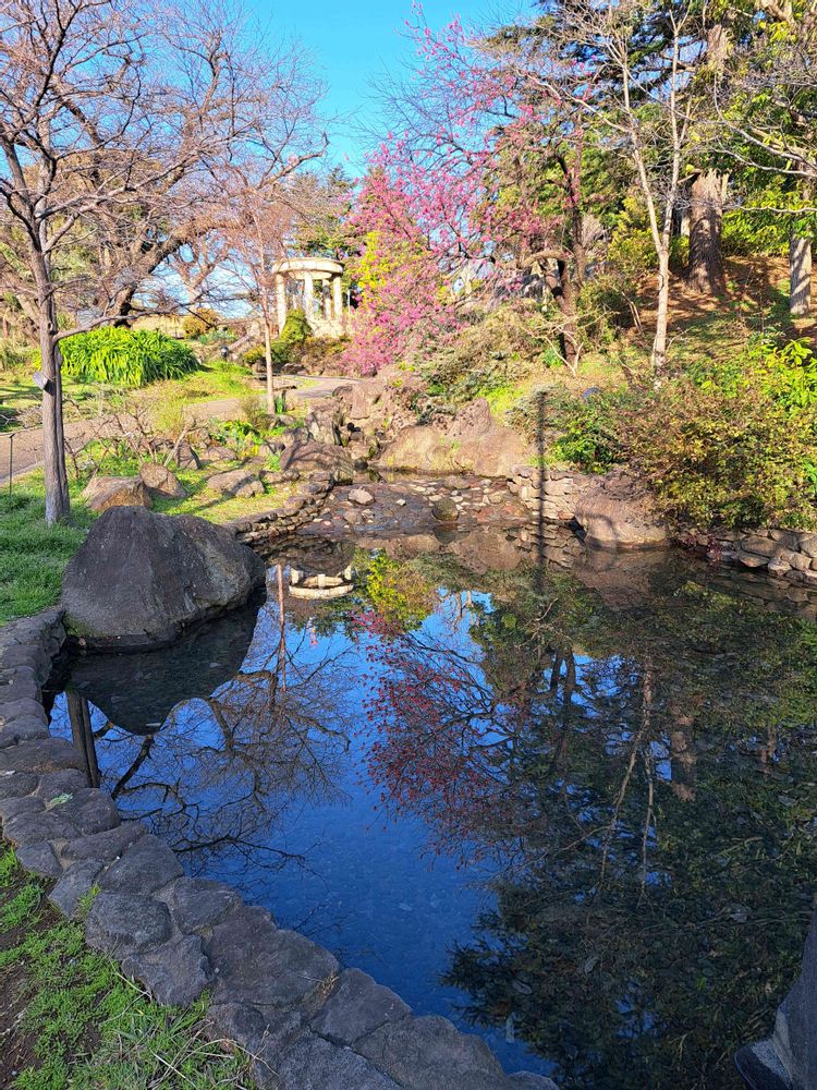 エリィさんの港の見える丘公園への投稿