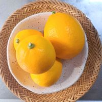 クリスマスローズ,スノードロップ,レモン,檸檬の実,檸檬Aの画像