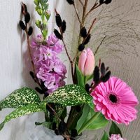 黒猫柳,季節の花,フラワーギフト,ピンクのお花,花は癒やし♡の画像