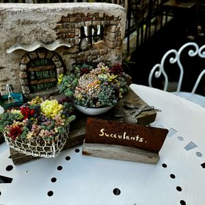 多肉植物,サビサビ,可愛い,ジャンクガーデン,ガーデンテーブルの画像