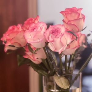 バラ,プリンセスドゥモナコ,花束,花のある暮らし,ばら バラ 薔薇の画像