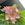 ゆーみん