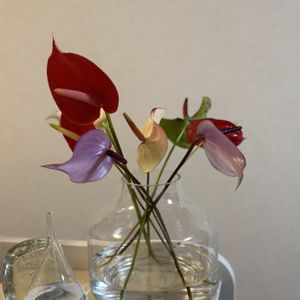 アンスリウム,お花屋さん,花のある暮らし,ガラスの花瓶,町のお花屋さんの画像