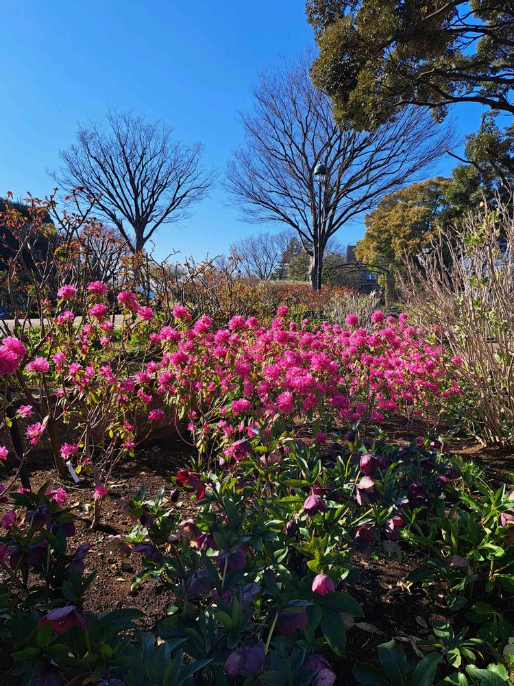 エリィさんの港の見える丘公園への投稿