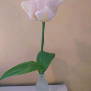 一輪挿し,花瓶,北海道,初春の画像