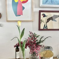 チューリップ,ナンテン,南天,観葉植物,植物と暮らすの画像