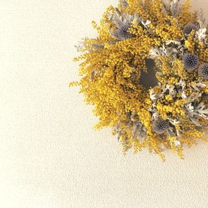 シロタエギク,ルリタマアザミ,ミモザ,ドライフラワー,花のある暮らしの画像