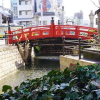 アイビー（ヘデラ）,アイビー（ヘデラ）,観葉植物,緑のある暮らし,育てやすいの画像