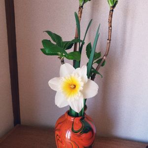 自分の自由花,白い花,花のある暮らし,植物のある暮らし,花瓶の花の画像