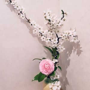 ピンクの花.,白い花,投げ入れ,花のある暮らし,植物のある暮らしの画像