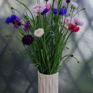 ヤグルマギク,生け花,花のある暮らし,お花は癒し,+1558の画像
