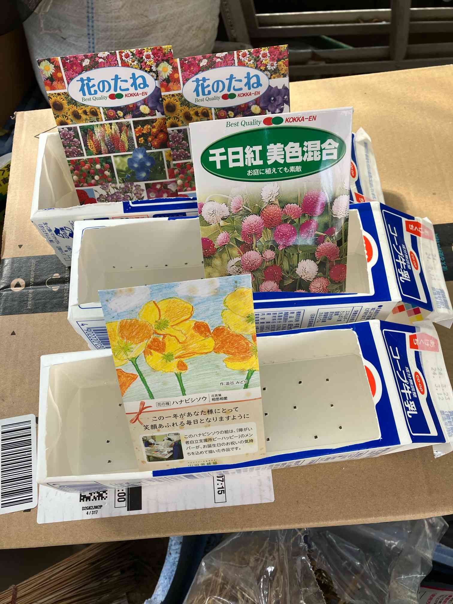 種まき爺 種巻自斎 登場｜🍀GreenSnap（グリーンスナップ）