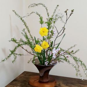 ユキヤナギ,水仙,桜,いけばな,生け花の画像