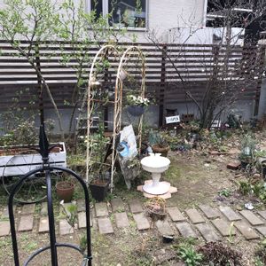 お庭,DIYウッドフェンス,おうち園芸,小さな庭の画像