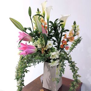 胡蝶蘭,切り花,季節の花,花のある暮らし,綺麗の画像