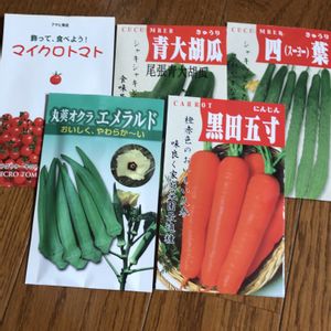 マイクロトマト,青大胡瓜,タネまき,アサヒ農園,野菜遺産の画像