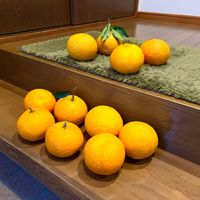 夏みかん,夏みかん,おすそ分け,柑橘,ビタミンCの画像