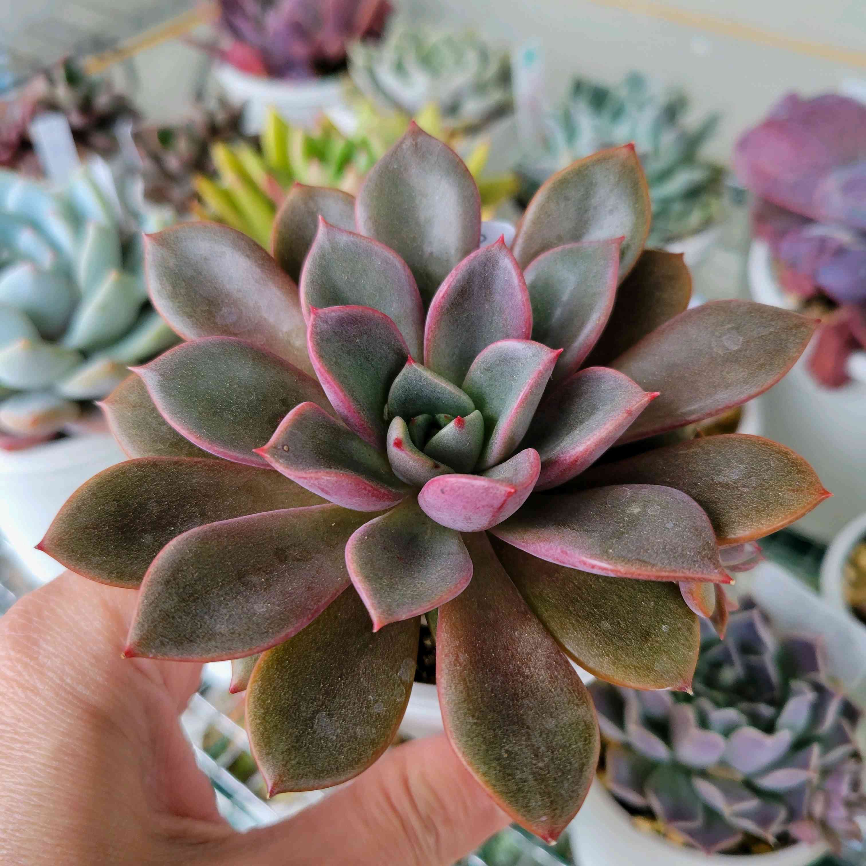 1712363746852_121062_p_2024040