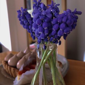 ムスカリ,ムスカリ （アルメリアカム）,切り花,球根植物,美味しいの画像