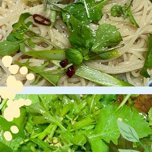 ルッコラ,水菜,アスパラガス,小松菜,大根の葉♡の画像