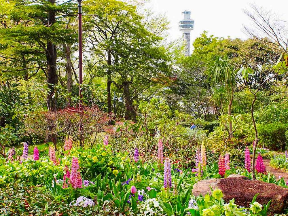 【公式】ガーデンネックレス横浜さんの港の見える丘公園への投稿