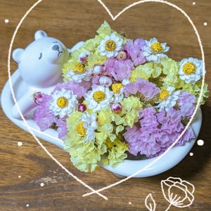 スターチス,花かんざし,アエオニウム　エッグ,えつこさんのリメ鉢(イチゴマン2.5号鉢),グリーンノビア アウレウム錦の画像
