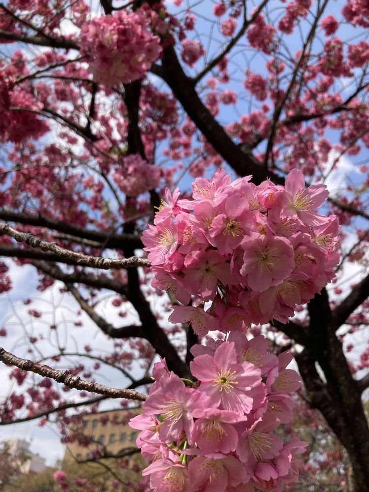 m＊88さんの横浜公園への投稿