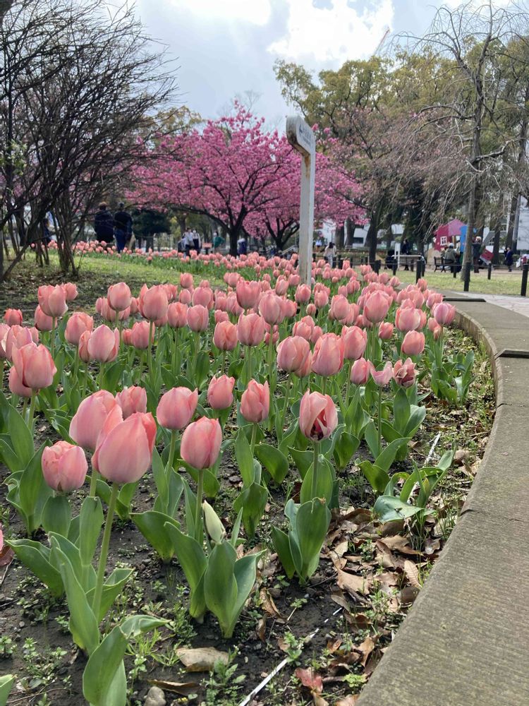 m＊88さんの横浜公園への投稿