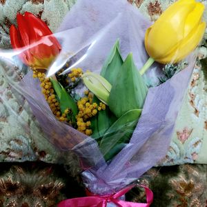チューリップ,ミモザ,春のお花,花束 ブーケ,可愛い蕾の画像